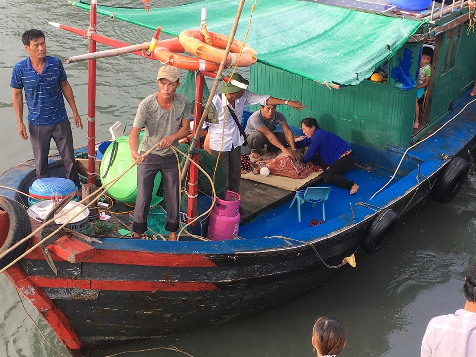 Tin nhanh - Đã tìm được thi thể cháu bé rơi xuống biển Hạ Long mất tích