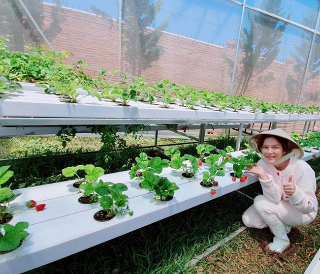Bất động sản - Biệt thự như lâu đài đi cả ngày không hết của Lý Nhã Kỳ (Hình 19).
