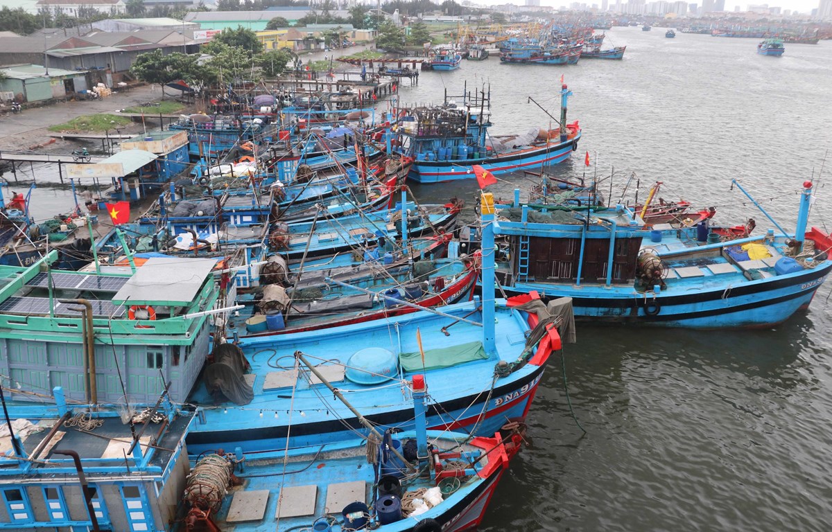 Tin nhanh - Bão số 5 suy yếu thành áp thấp nhiệt đới, không còn đe dọa các tỉnh miền Trung Tây Nguyên