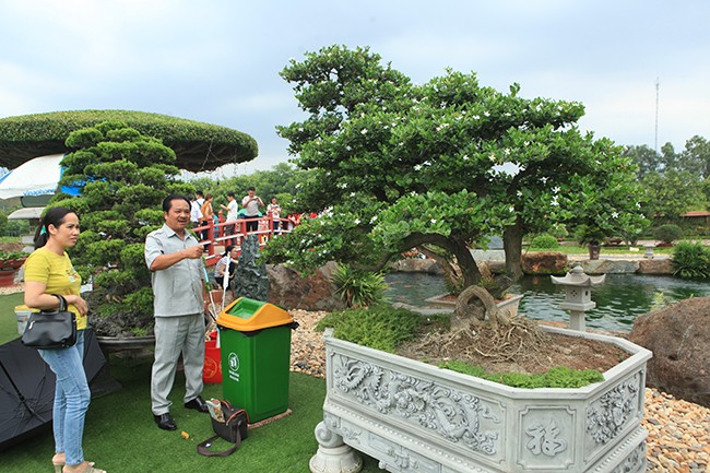 Tài chính - Ngân hàng - Chơi cây cảnh tiền tỷ chưa đã, đại gia nổi danh Thái Nguyên mua hẳn đá quý làm hồ cá Koi (Hình 7).