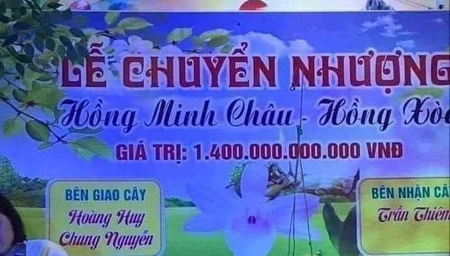 Tiêu dùng & Dư luận - Chậu lan đột biến có giá trên trời 1.400 tỷ đồng và lời giải thích bất ngờ