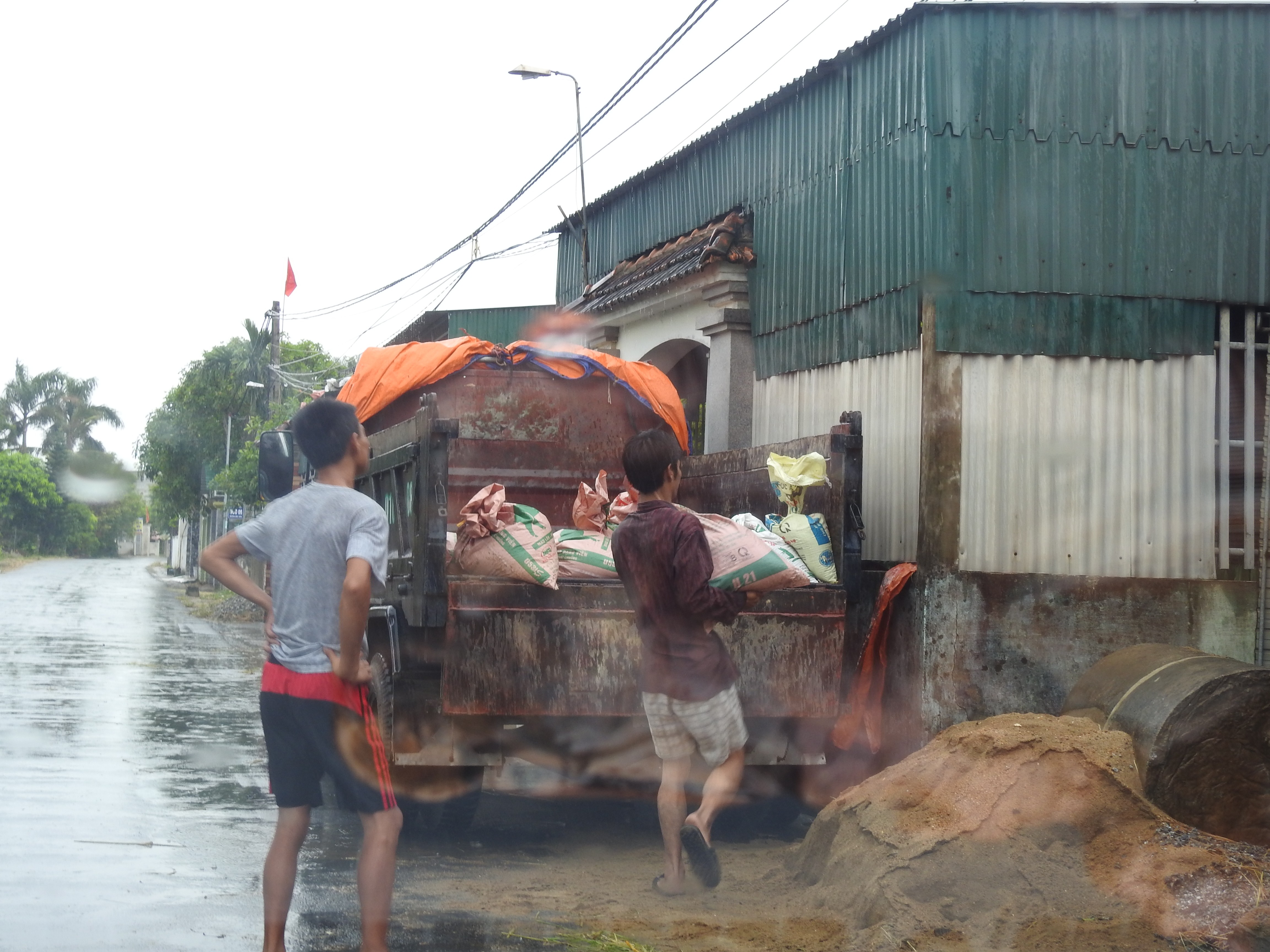 Xã hội - Hà Tĩnh: Bão số 10 áp sát, quân - dân hối hả gặt lúa xanh về nhà (Hình 11).