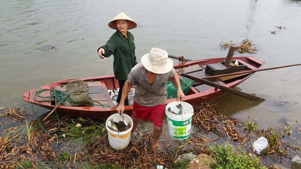 Xã hội - Hà Tĩnh: Bão số 10 áp sát, quân - dân hối hả gặt lúa xanh về nhà (Hình 9).