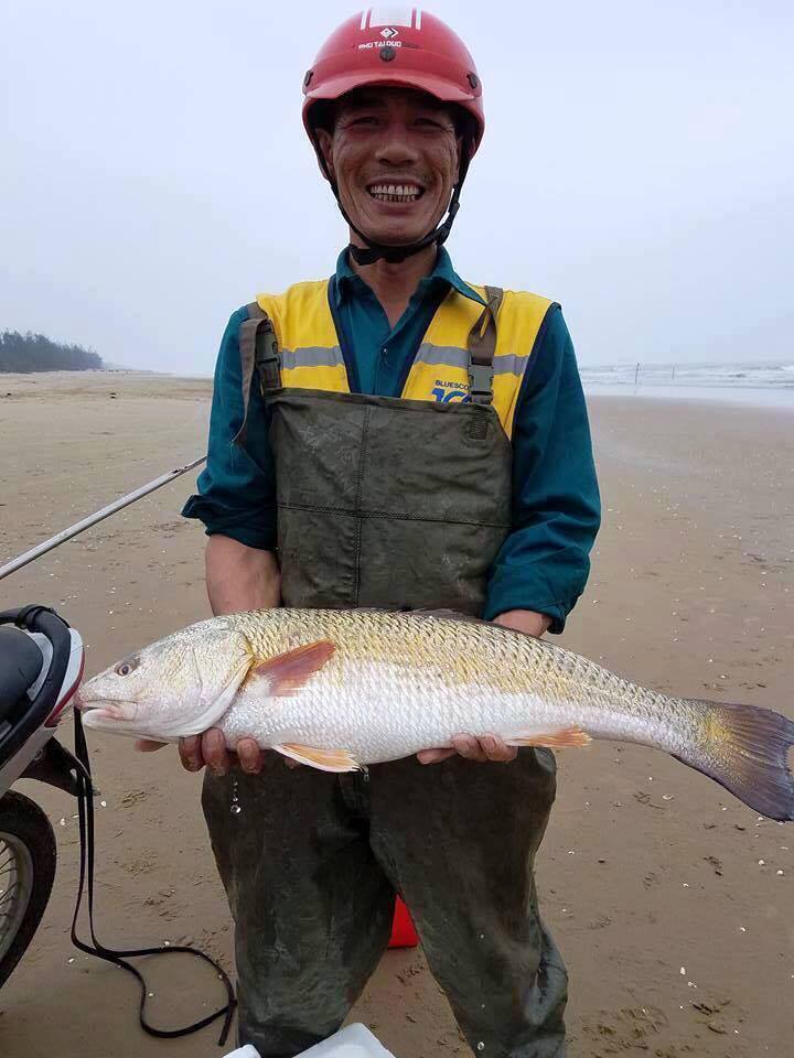 Tin nhanh - Hà Tĩnh: Câu được cá sủ vàng, trả 400 triệu chưa bán (Hình 2).