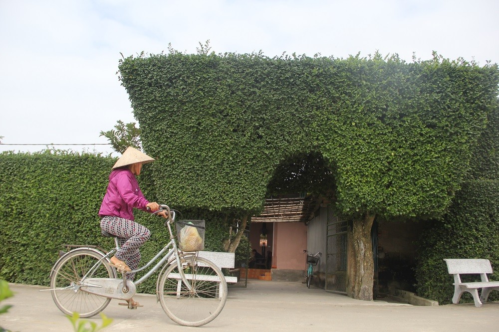 Ngôi làng mang nét đẹp dung dị của làng quê Việt Nam. Nơi đây vẫn giữ được vẻ đẹp nguyên sơ, hữu tình, nên thơ và độc đáo. 