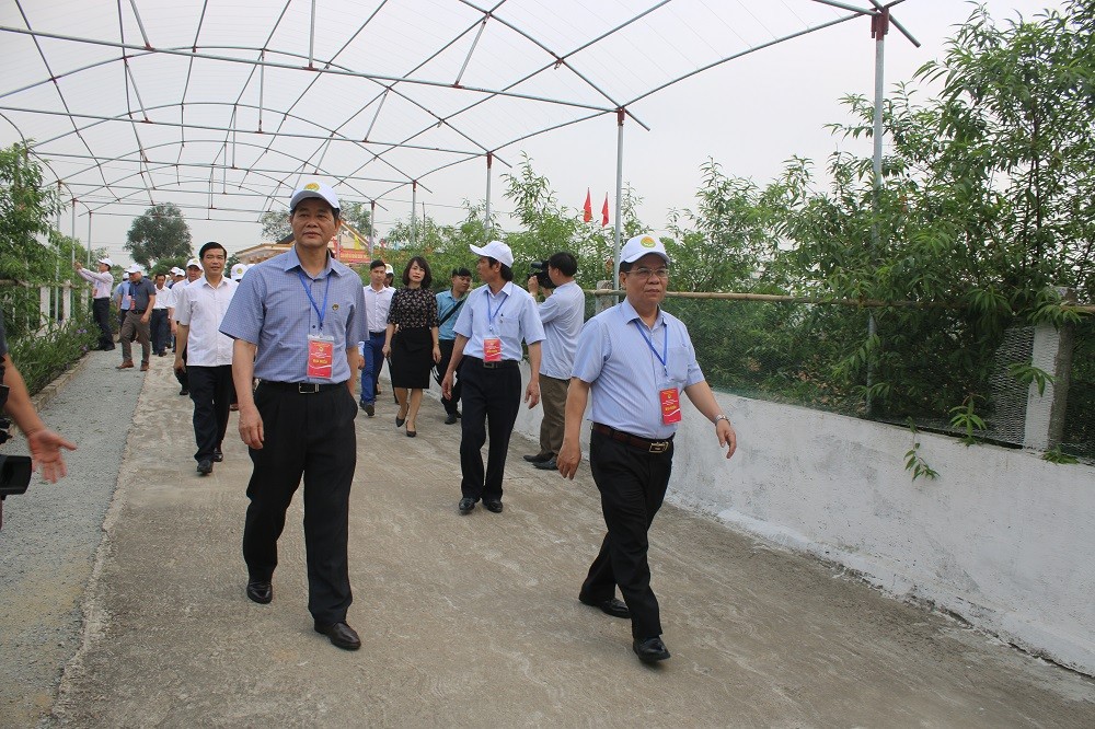 Lịch trình đầu tiên, đoàn đến thăm mô hình vườn mẫu của gia đình ông Bùi Đình Bồi (83 tuổi) tại thôn Sơn Bình, xã Thượng Lộc, huyện Can Lộc.