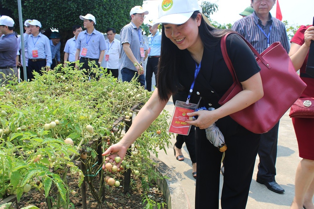 Lãnh đạo các đoàn rất ấn tượng về mô hình vườn mẫu của hộ gia đình ông Mai Xuân Tam (70 tuổi), tại thôn Châu Nội, xã Tùng Ảnh, huyện Đức Thọ. 