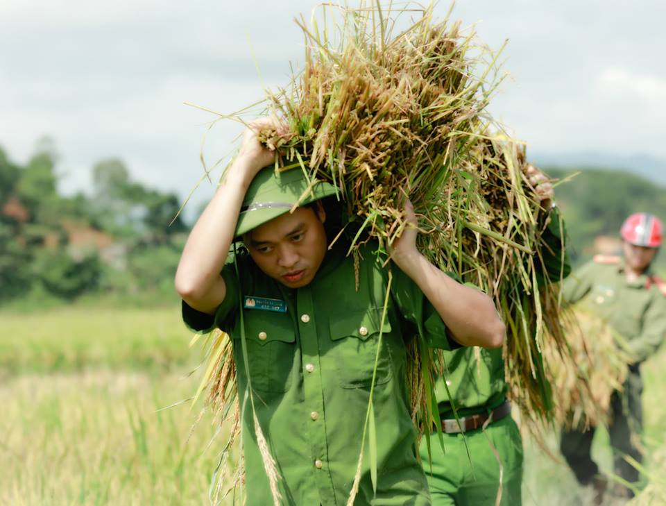 Dự kiến, trong những ngày tiếp theo trước khi bão đổ bộ...