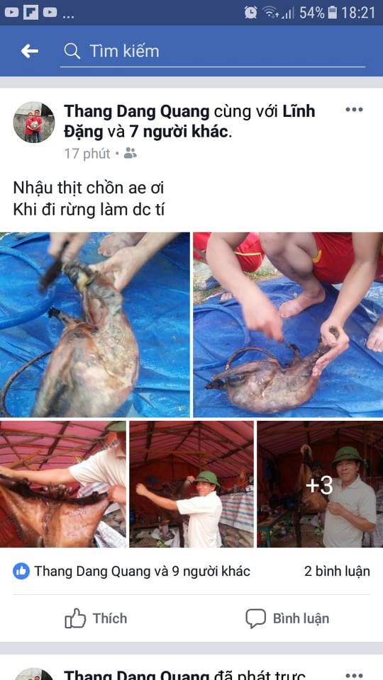 An ninh - Hình sự - Truy tìm chủ nhân đăng ảnh giết thịt chồn bay trong sách đỏ “khoe” trên facebook