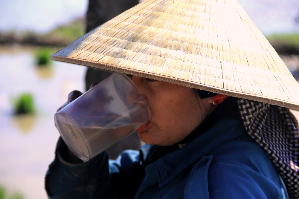 Môi trường - Nắng cực điểm, nông dân vùng 'chảo lửa' Hà Tĩnh đứng trước nguy cơ thiệt hại kinh tế nặng nề (Hình 5).