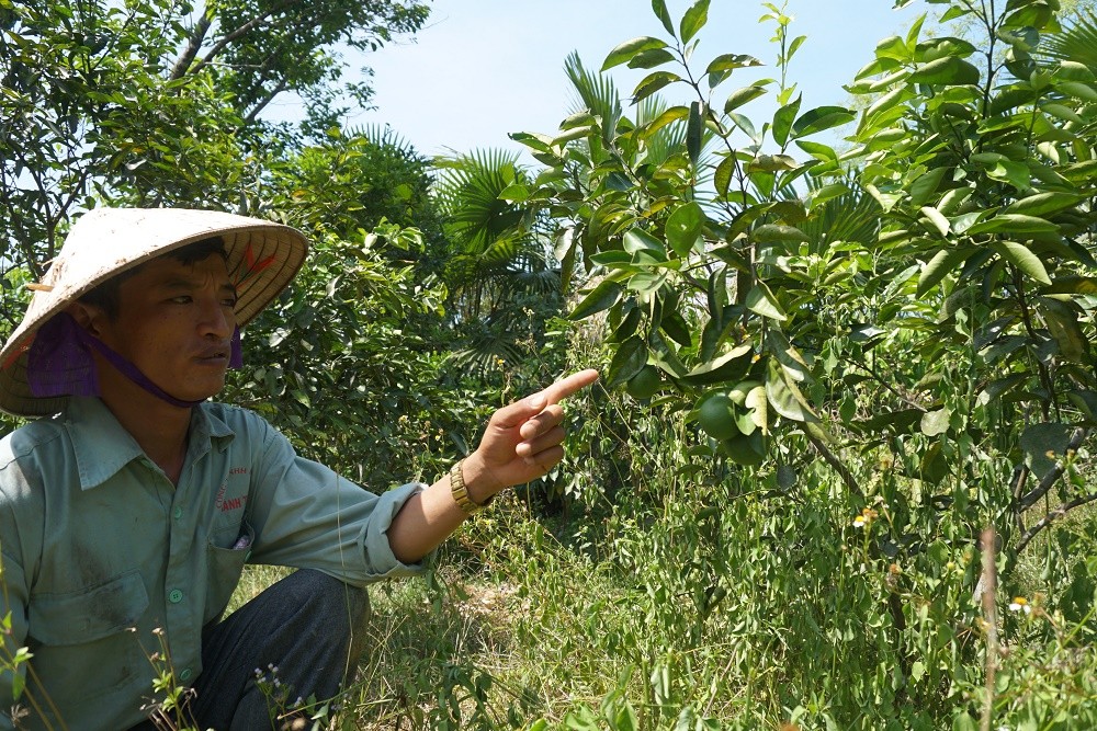 Môi trường - Nắng cực điểm, nông dân vùng 'chảo lửa' Hà Tĩnh đứng trước nguy cơ thiệt hại kinh tế nặng nề (Hình 2).