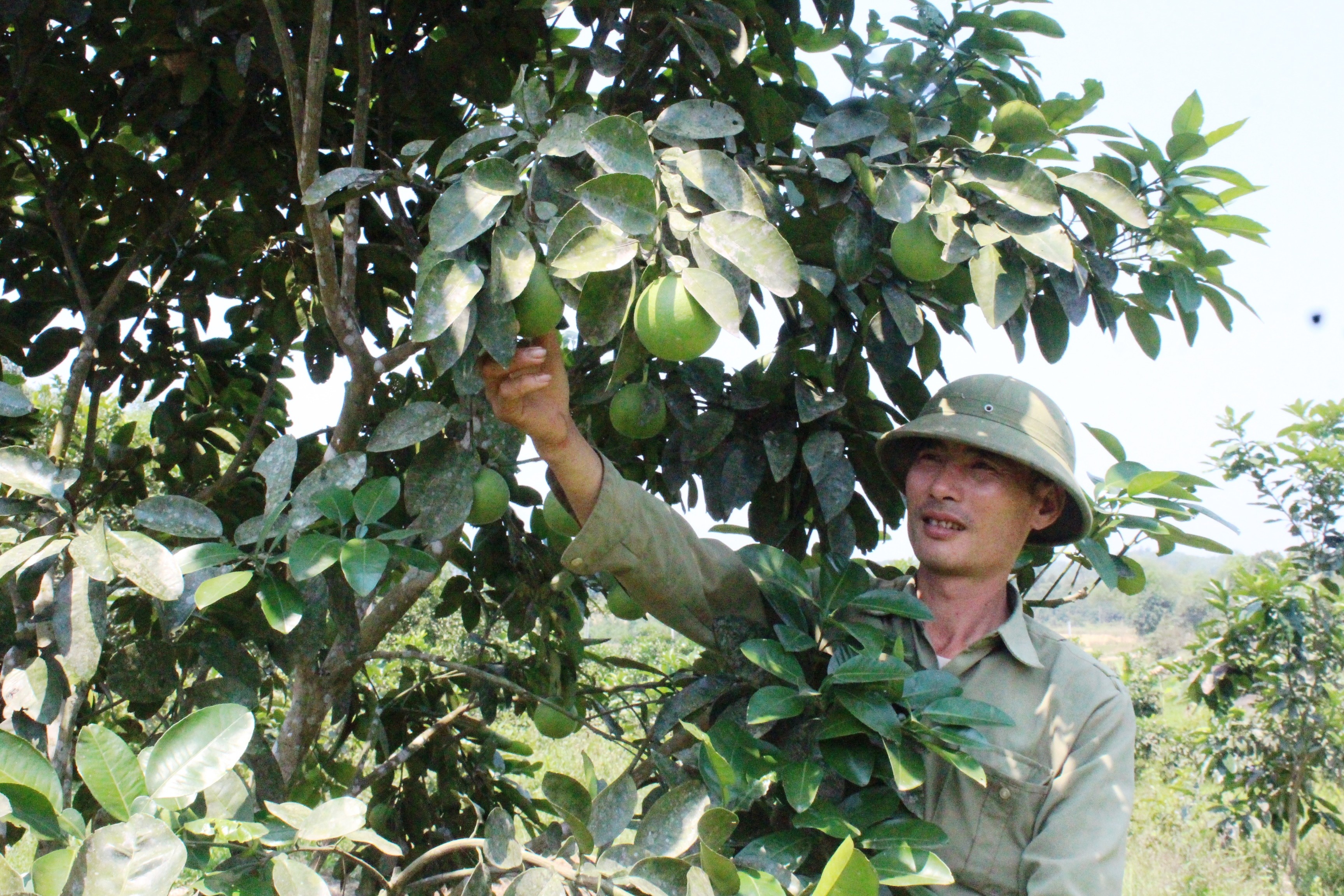 Chính sách - Tín dụng chính sách - 'cú hích' giúp người dân Hà Tĩnh thoát nghèo (Hình 2).