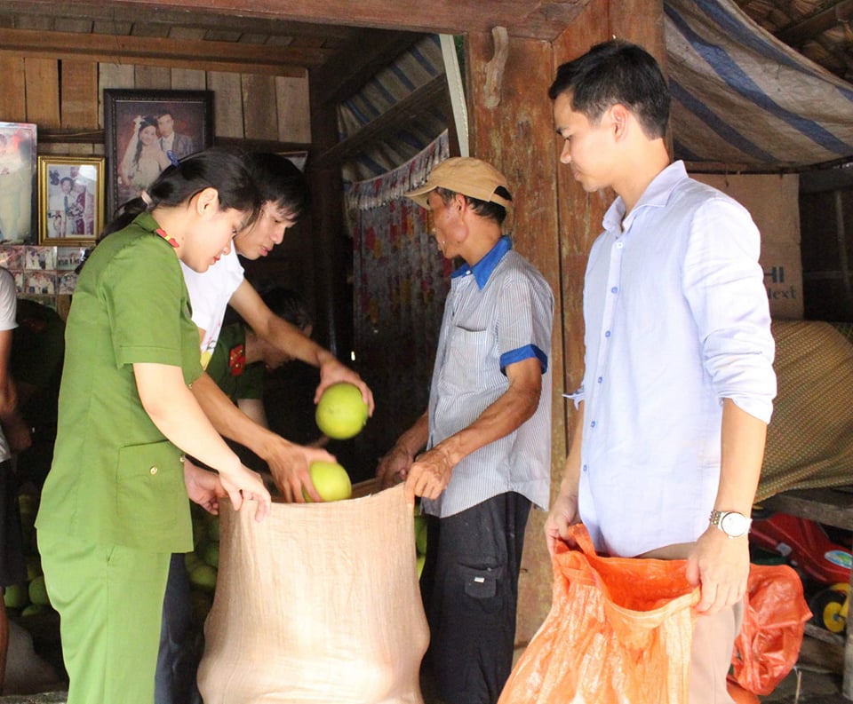 Tin nhanh - Công an Hà Tĩnh 'giải cứu' bưởi Phúc Trạch cho bà con vùng lũ (Hình 6).