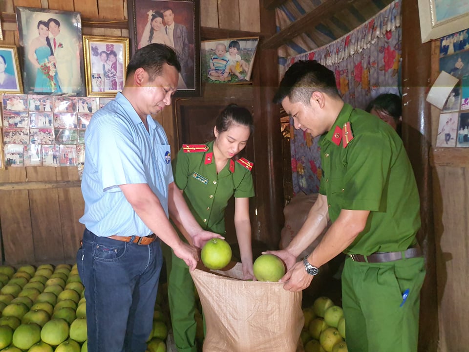 Tin nhanh - Công an Hà Tĩnh 'giải cứu' bưởi Phúc Trạch cho bà con vùng lũ (Hình 2).