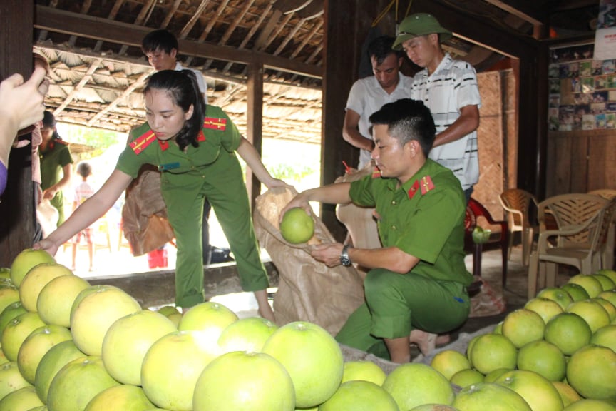 Tin nhanh - Công an Hà Tĩnh 'giải cứu' bưởi Phúc Trạch cho bà con vùng lũ