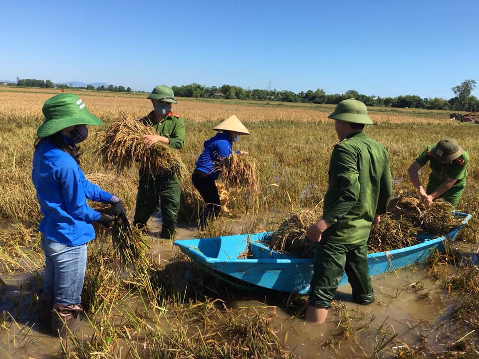 Tin nhanh - Hà Tĩnh: Cán bộ, chiến sỹ lực lượng Công an ra đồng gặt lúa giúp người dân (Hình 4).