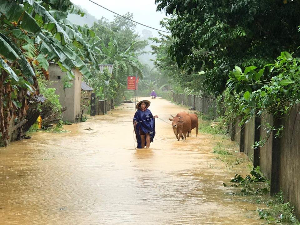 Tin nhanh - Nguy cơ lũ quét khẩn trương sơ tán người dân miền núi Hà Tĩnh (Hình 2).