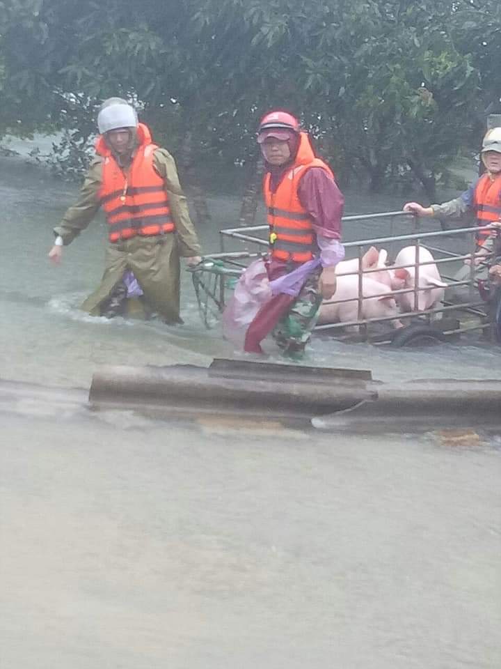 Tin nhanh - Hà Tĩnh: Sạt lở núi Quảng Sơn, khẩn trương sơ tán 343 người (Hình 3).