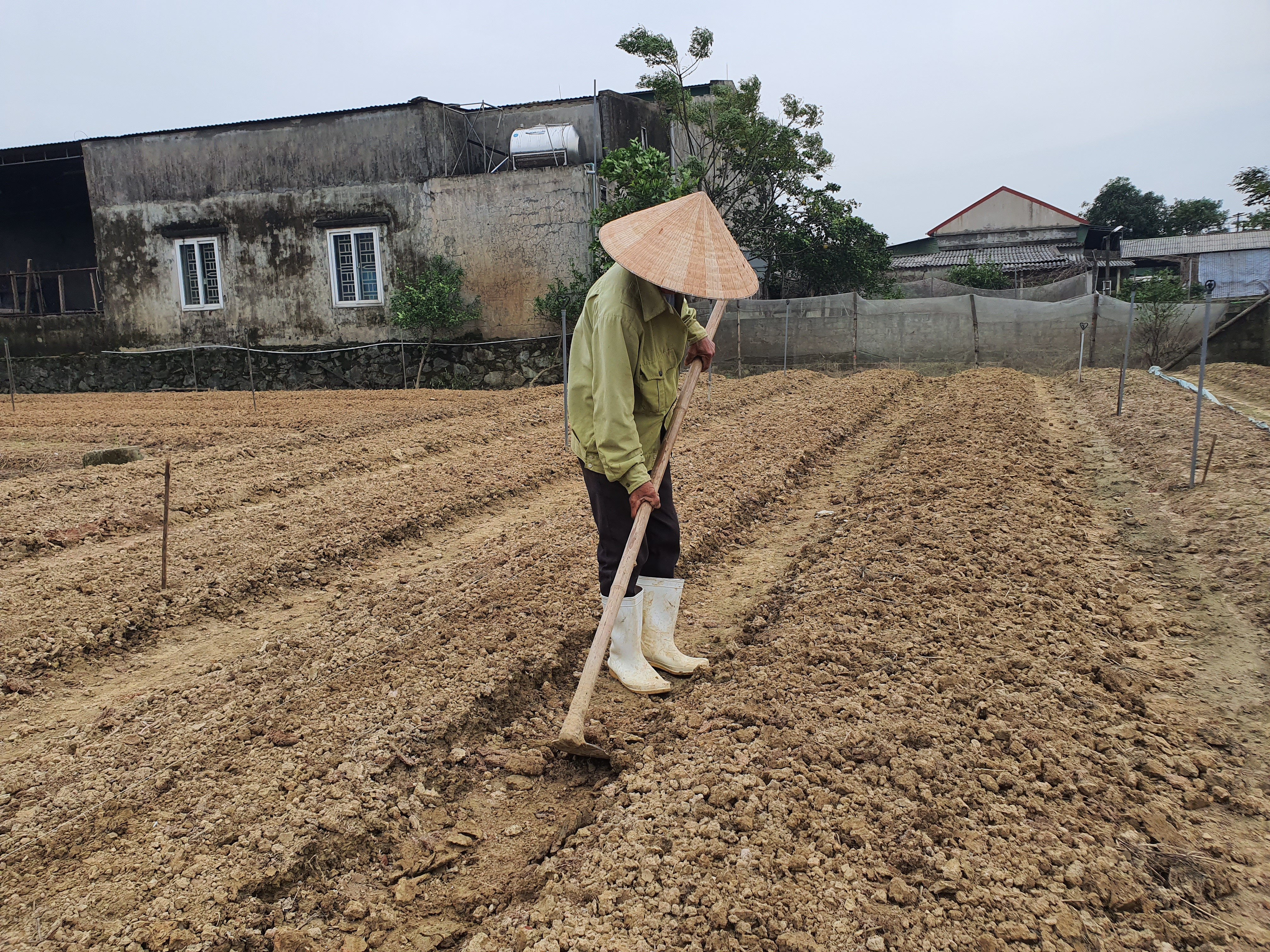 Tin nhanh - Điêu đứng sau cơn lũ (Hình 2).