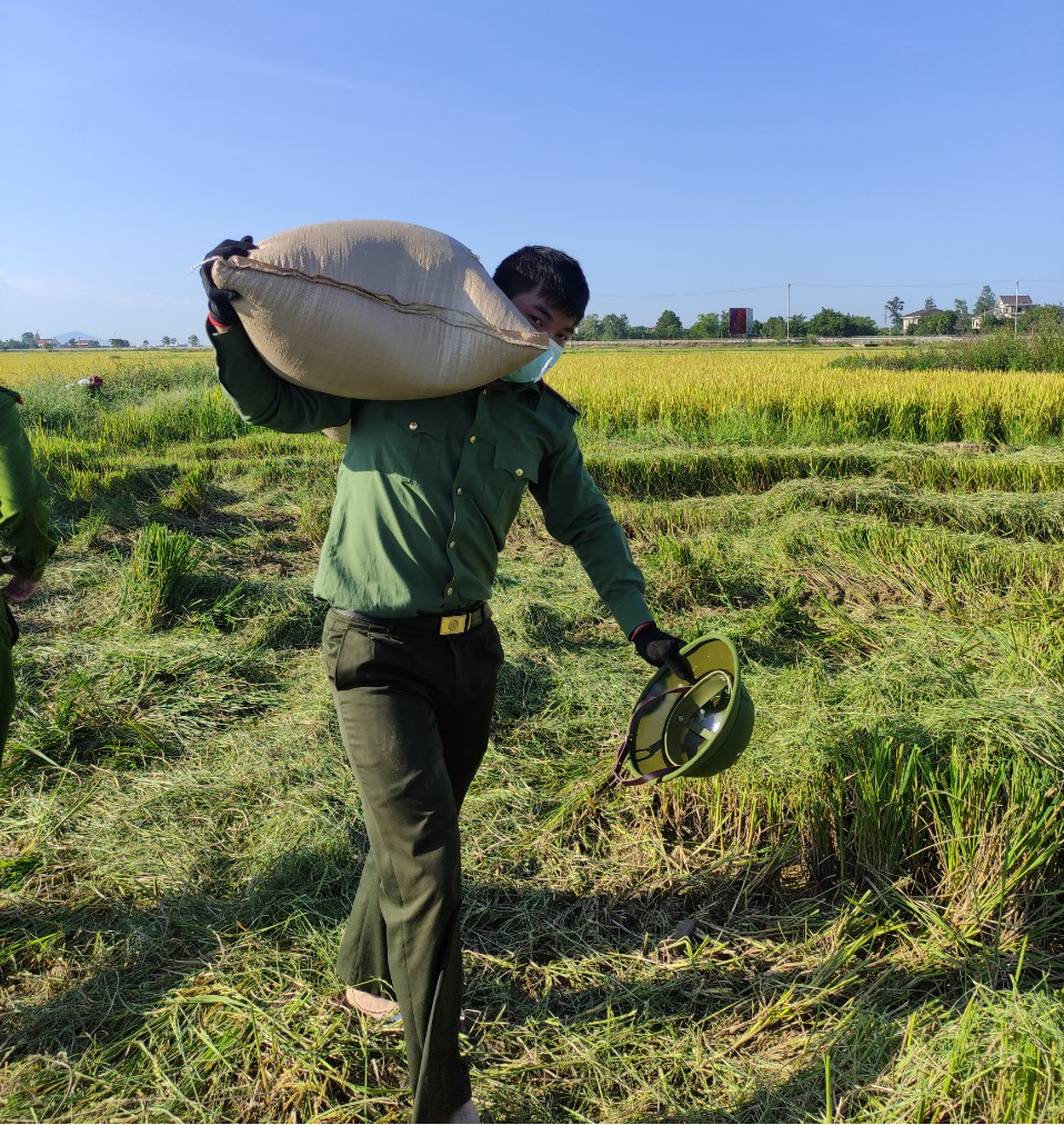 Bĩnh tĩnh sống - Chuyện những chiến sỹ sáng trực chốt, chiều ra đồng gặt lúa (Hình 2).