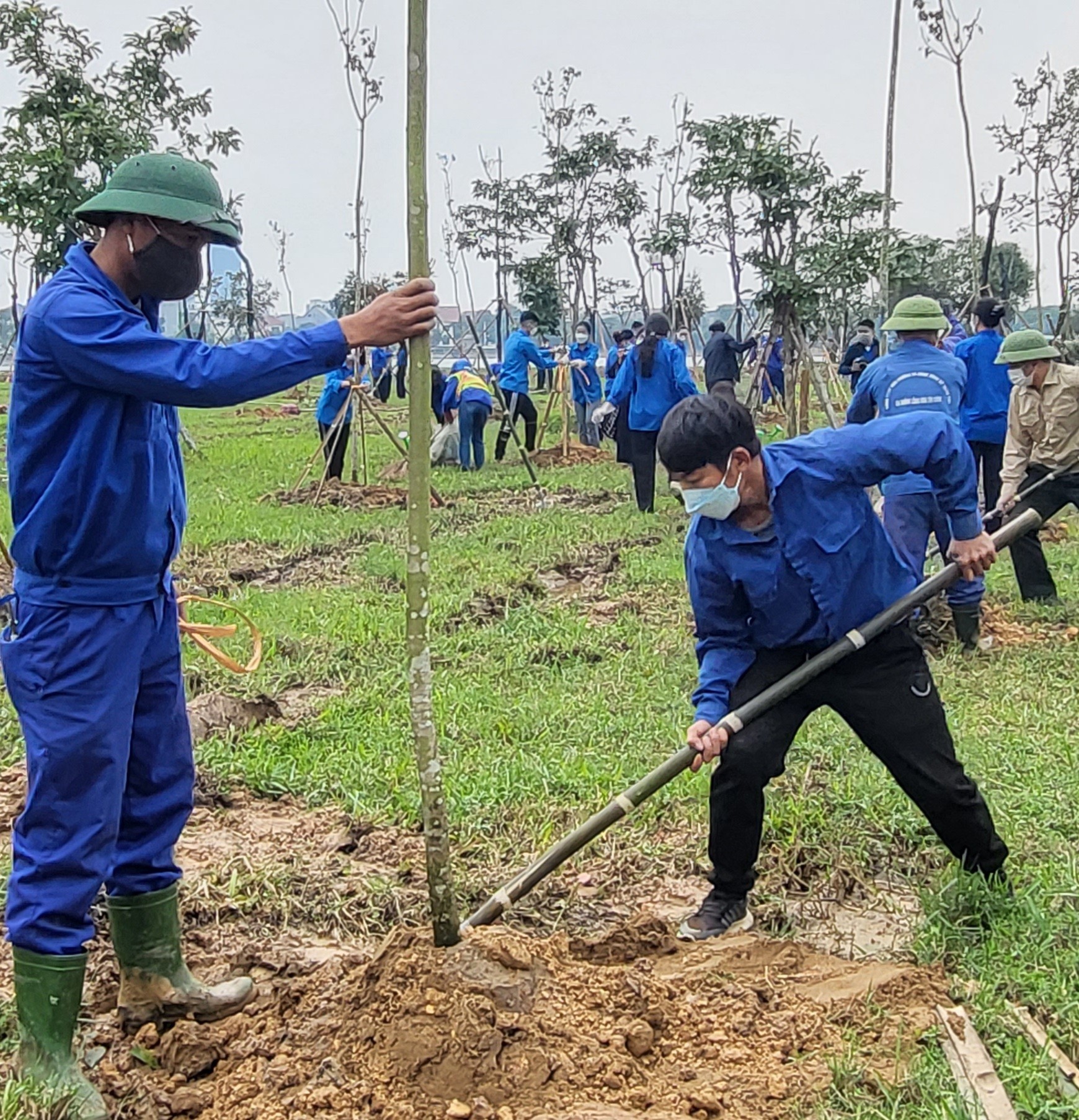 Môi trường - Trồng 100.000 cây phủ xanh thành phố Hà Tĩnh (Hình 6).