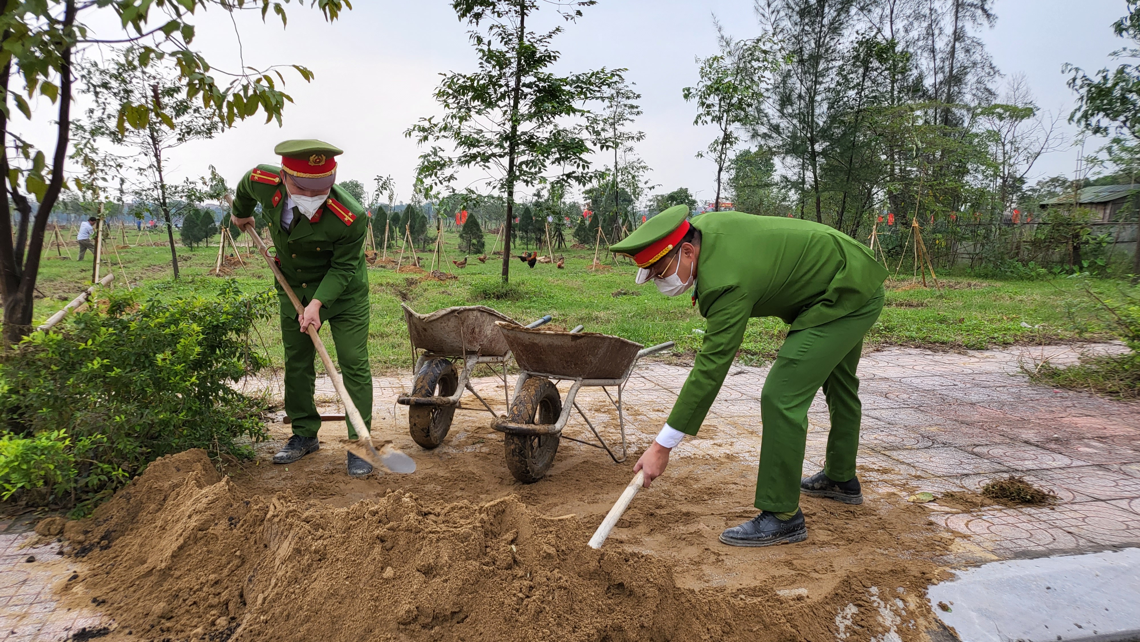 Môi trường - Trồng 100.000 cây phủ xanh thành phố Hà Tĩnh (Hình 4).