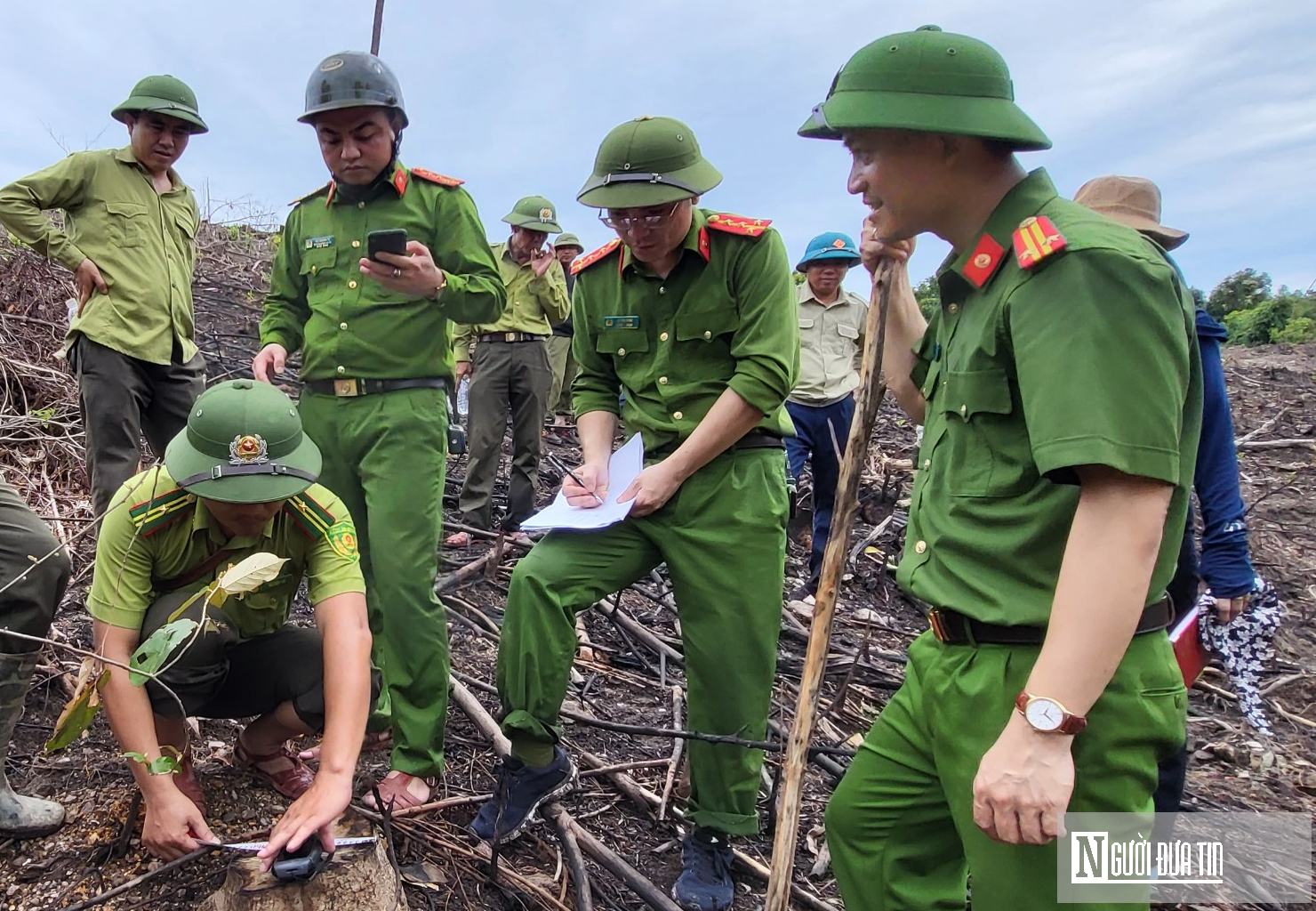 Môi trường - Khám nghiệm hiện trường, điều tra vụ phá rừng nguyên sinh  (Hình 2).