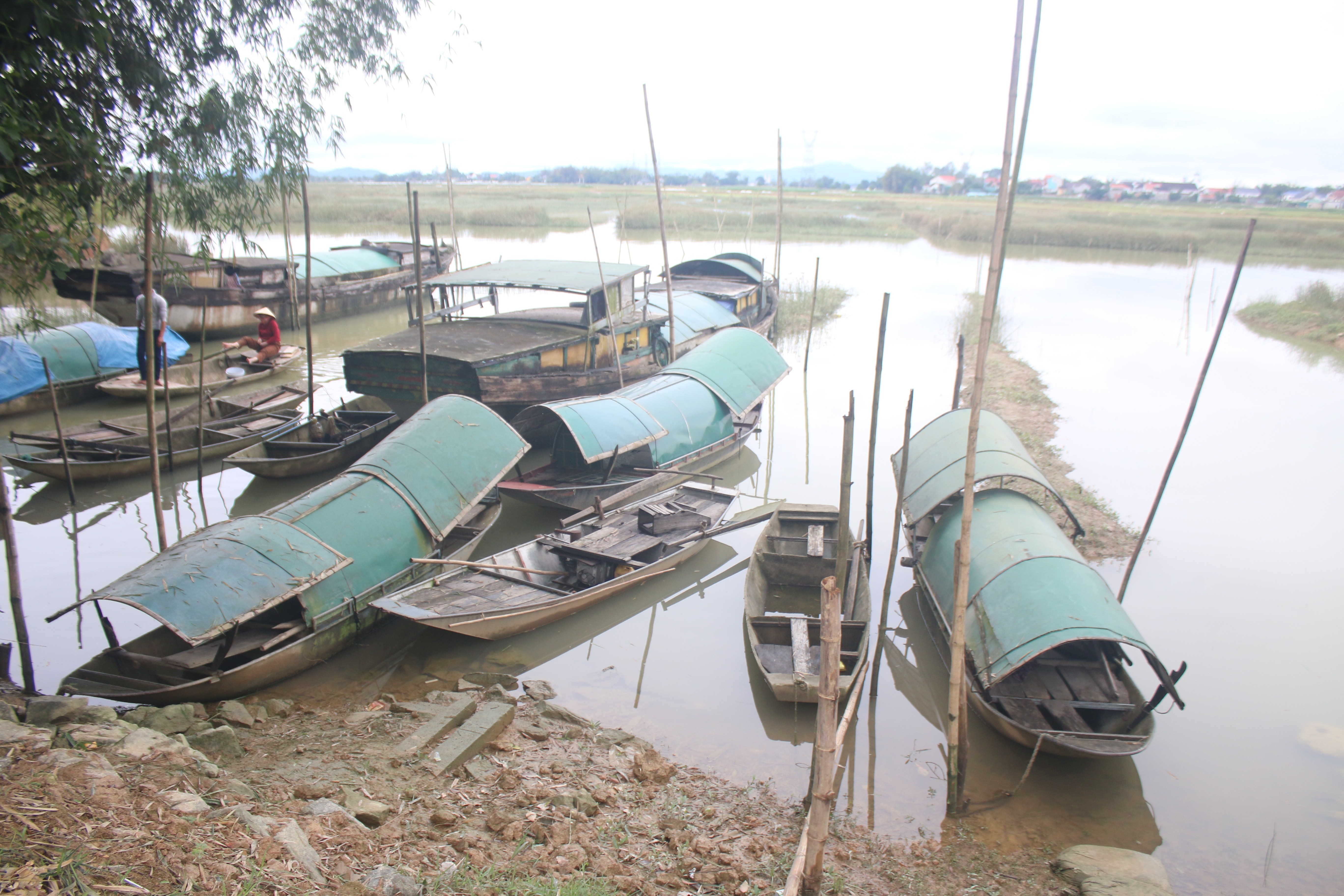 Dân sinh - Thắp sáng ước vọng, đổi thay những phận đời: (Bài 1) Số phận lênh đênh của 24 hộ dân vạn chài trên sông Lam (Hình 5).