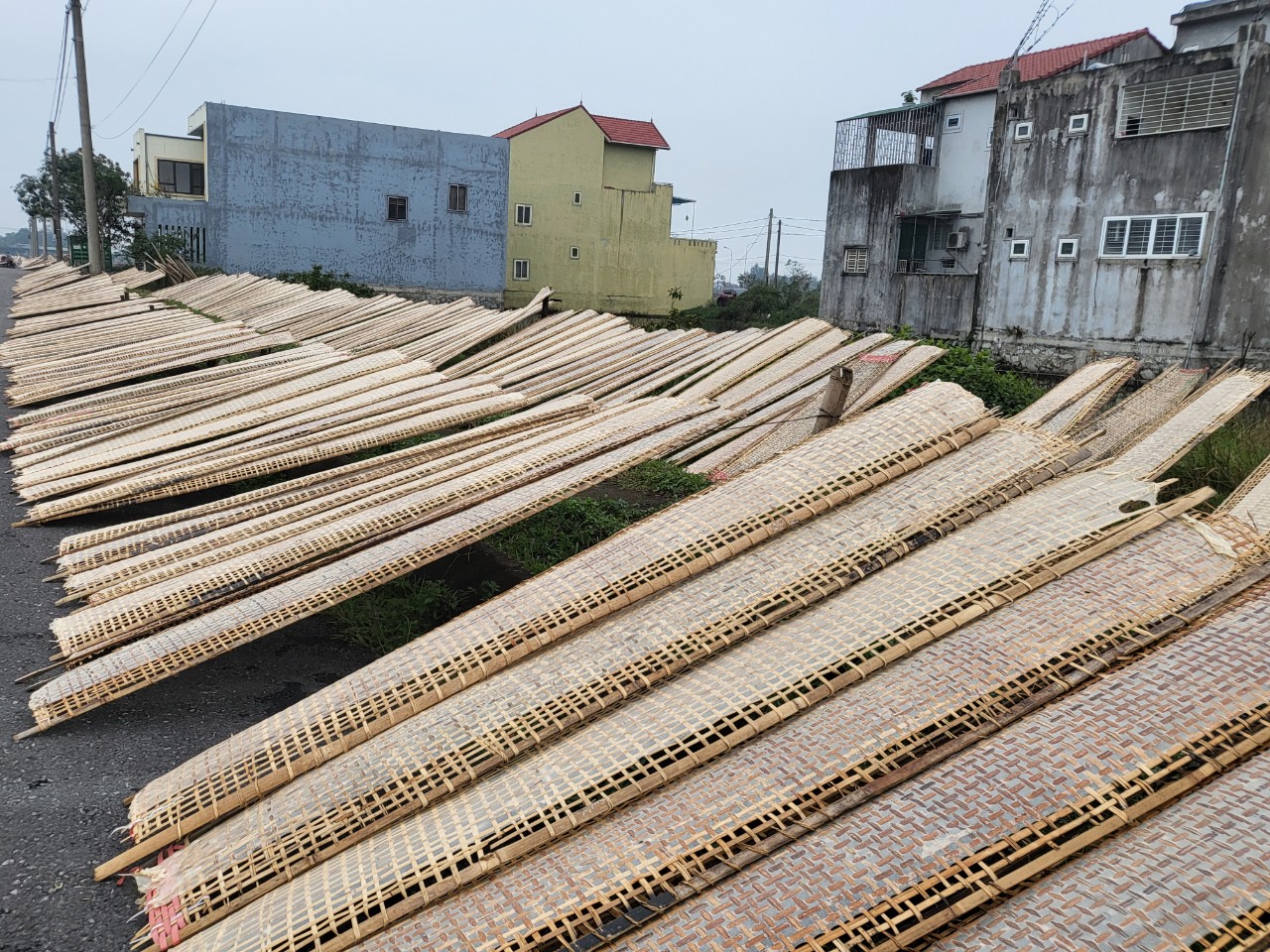 Dân sinh - Nhộn nhịp sắc xuân ở “làng không ngủ” (Hình 4).