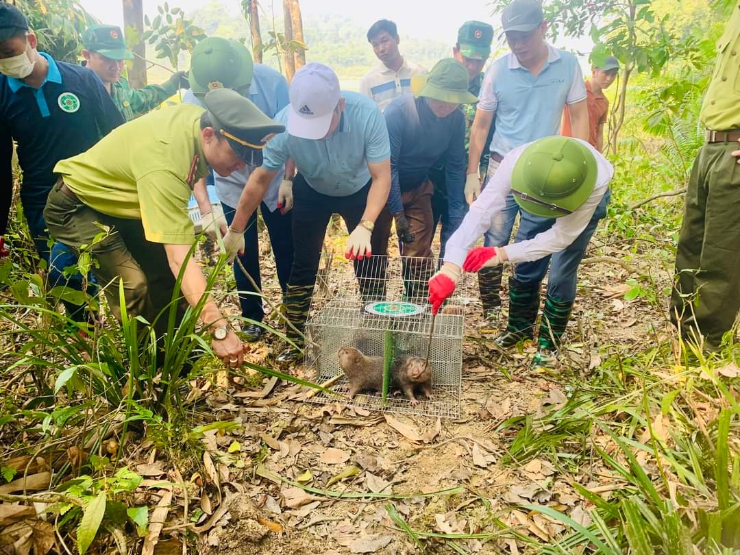 Môi trường -  Hà Tĩnh: Nhiều cá thể động vật hoang dã, quý hiếm được thả về rừng