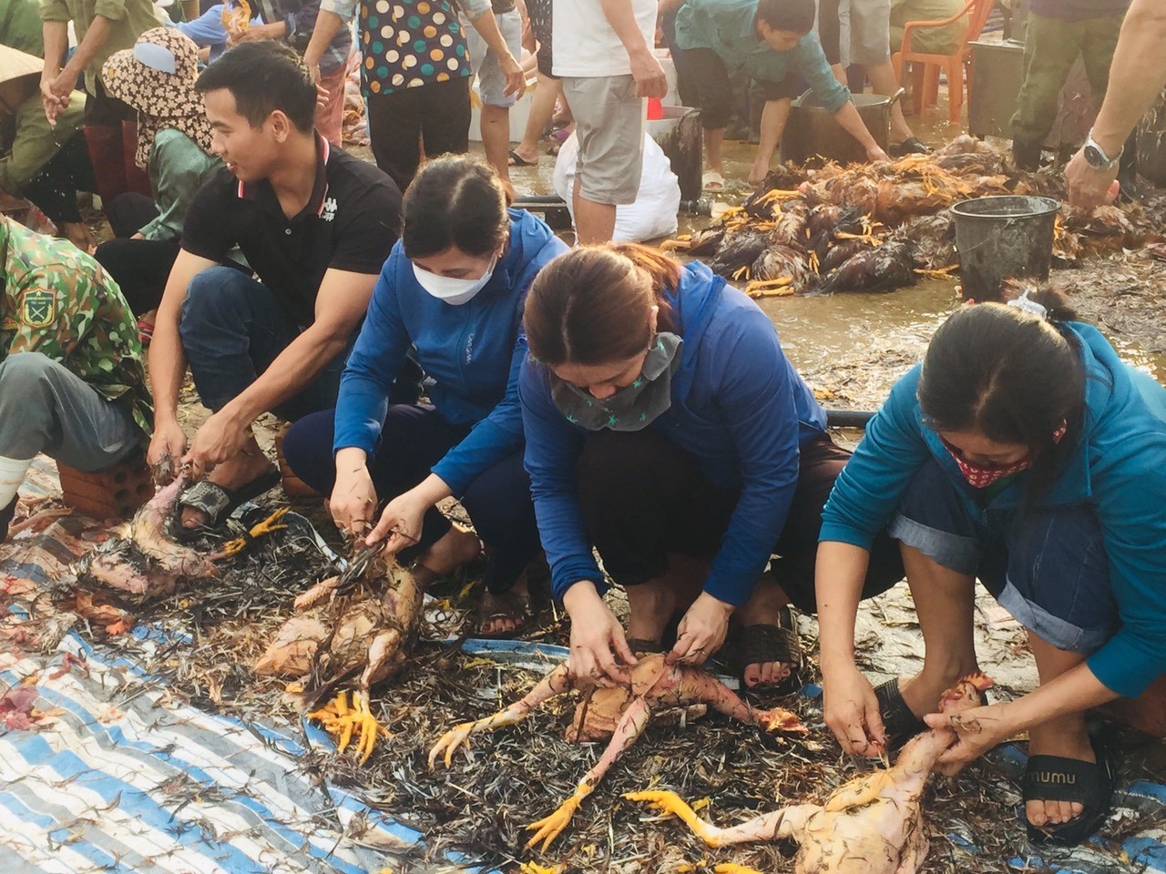 Dân sinh - Hà Tĩnh: Hàng trăm người tham gia giải cứu 8.000 con gà chết ngạt (Hình 3).