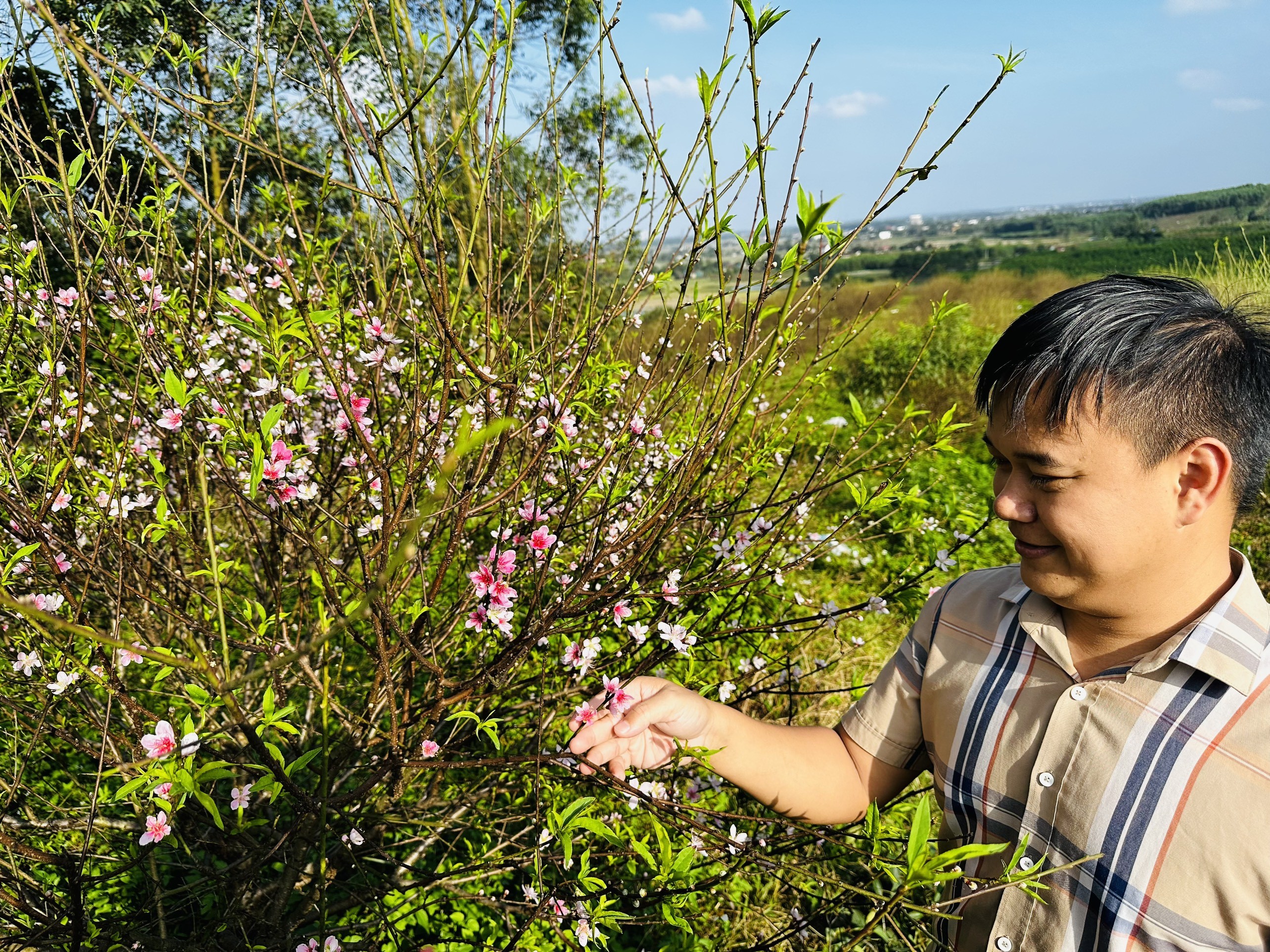 Dân sinh - Thời tiết lạnh sâu, người trồng đào vui mừng “chỉnh” đào nở đúng Tết (Hình 6).