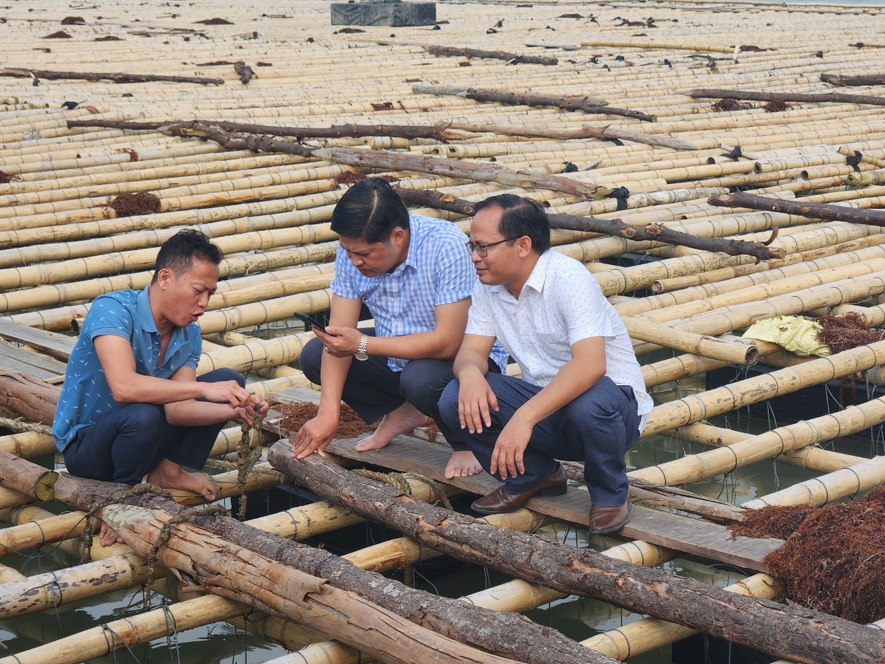 Dân sinh - Vụ  nuôi hàu trên sông Lam: Đề nghị chủ mô hình hoàn thiện các thủ tục (Hình 2).