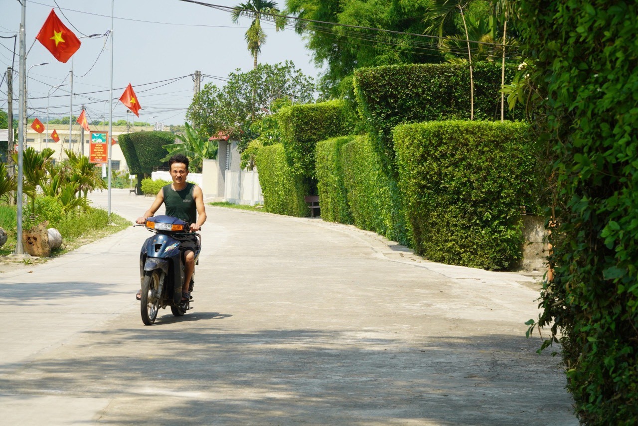 Dân sinh - Hà Tĩnh: Xanh mướt hàng rào bằng cây duối trăm tuổi trong nắng hè