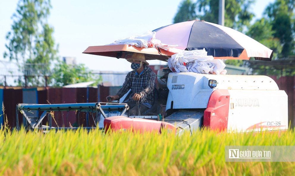 Kinh tế vĩ mô - Đặt mục tiêu có doanh nghiệp chế biến nông sản ngang tầm thế giới