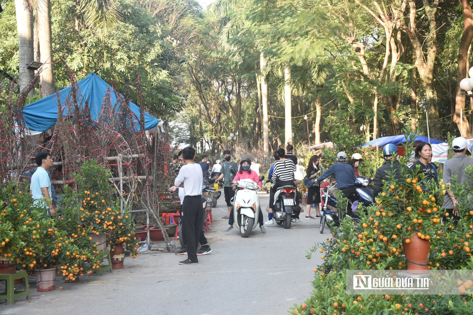 Tiêu dùng & Dư luận - Không khí Tết Hà Nội nhộn nhịp trong từng hàng hoa