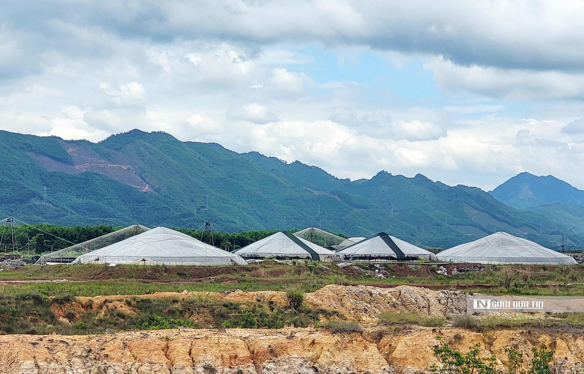 Sự kiện - Quảng Ninh: Doanh nghiệp 'ôm' hơn 40 ha đất rồi bỏ hoang (Hình 2).