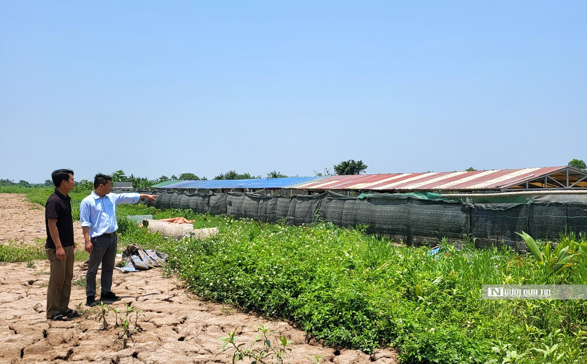 Môi trường - Hải Phòng: Dòng sông 'oằn mình' gánh xả thải (Hình 3).