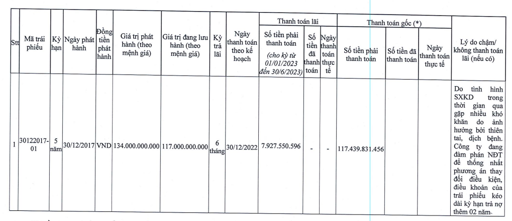 Hồ sơ điều tra - Đức Long Gia Lai chậm trả lãi lô trái phiếu 134 tỷ đồng