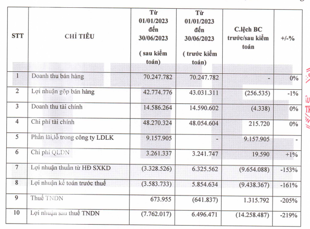 Hồ sơ doanh nghiệp - Đầu tư năng lượng Trường Thịnh chuyển từ lãi sang lỗ sau kiểm toán