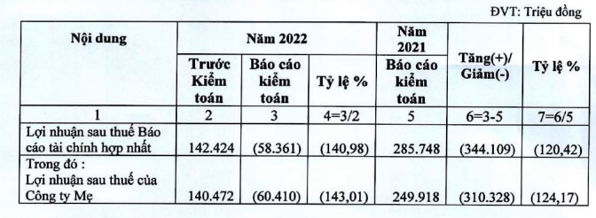 Hồ sơ doanh nghiệp - Hải Phát Invest chuyển từ lãi sang lỗ sau kiểm toán