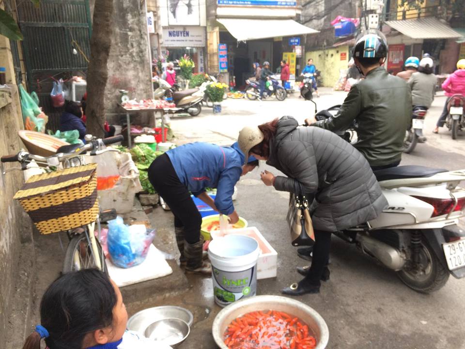 Văn hoá - Giá cá chép giảm mạnh, dân Thủ đô tất bật cúng Táo quân sớm