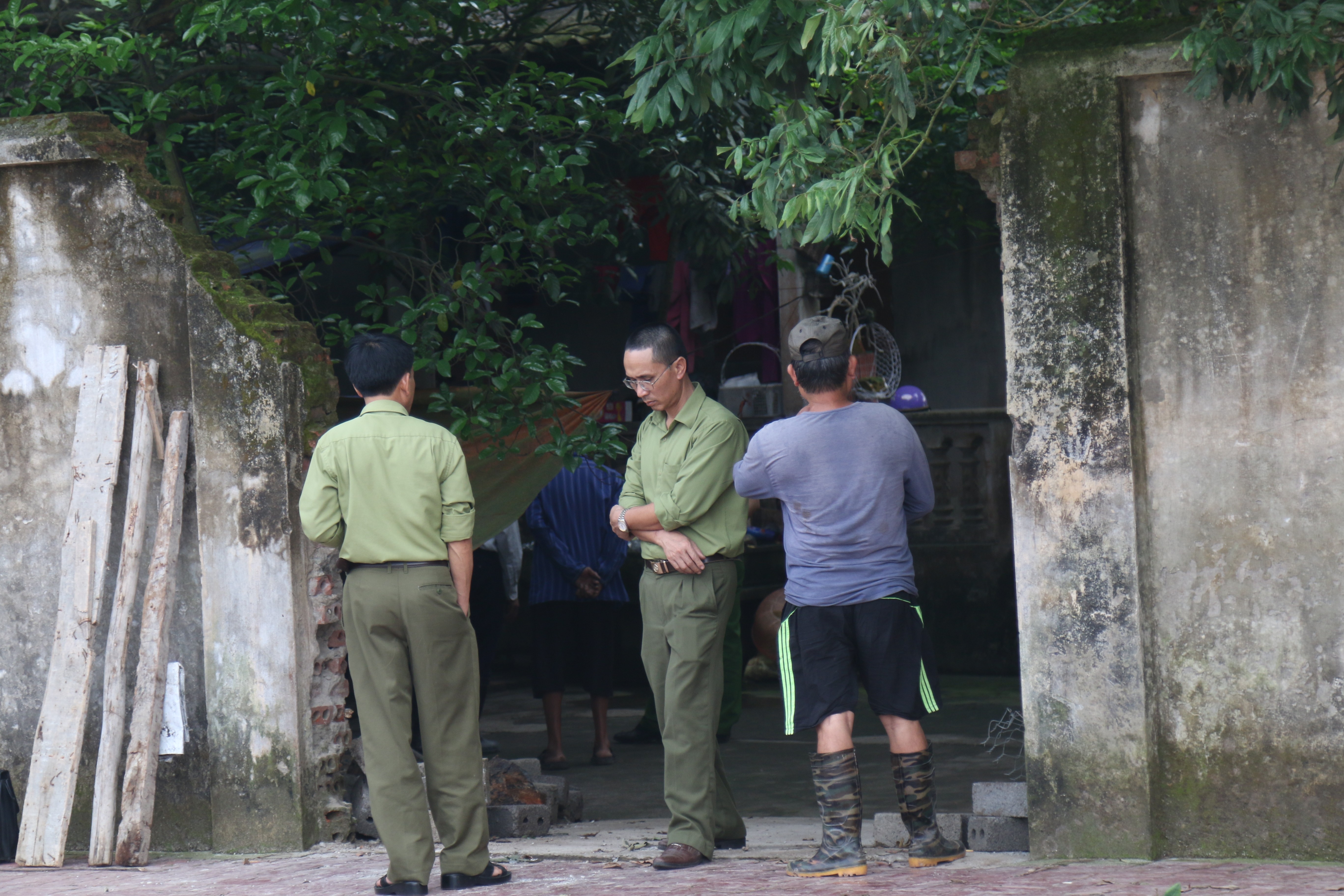 Tin nhanh - Thu giữ đàn chó cắn bé trai tử vong ở Hưng Yên (Hình 3).