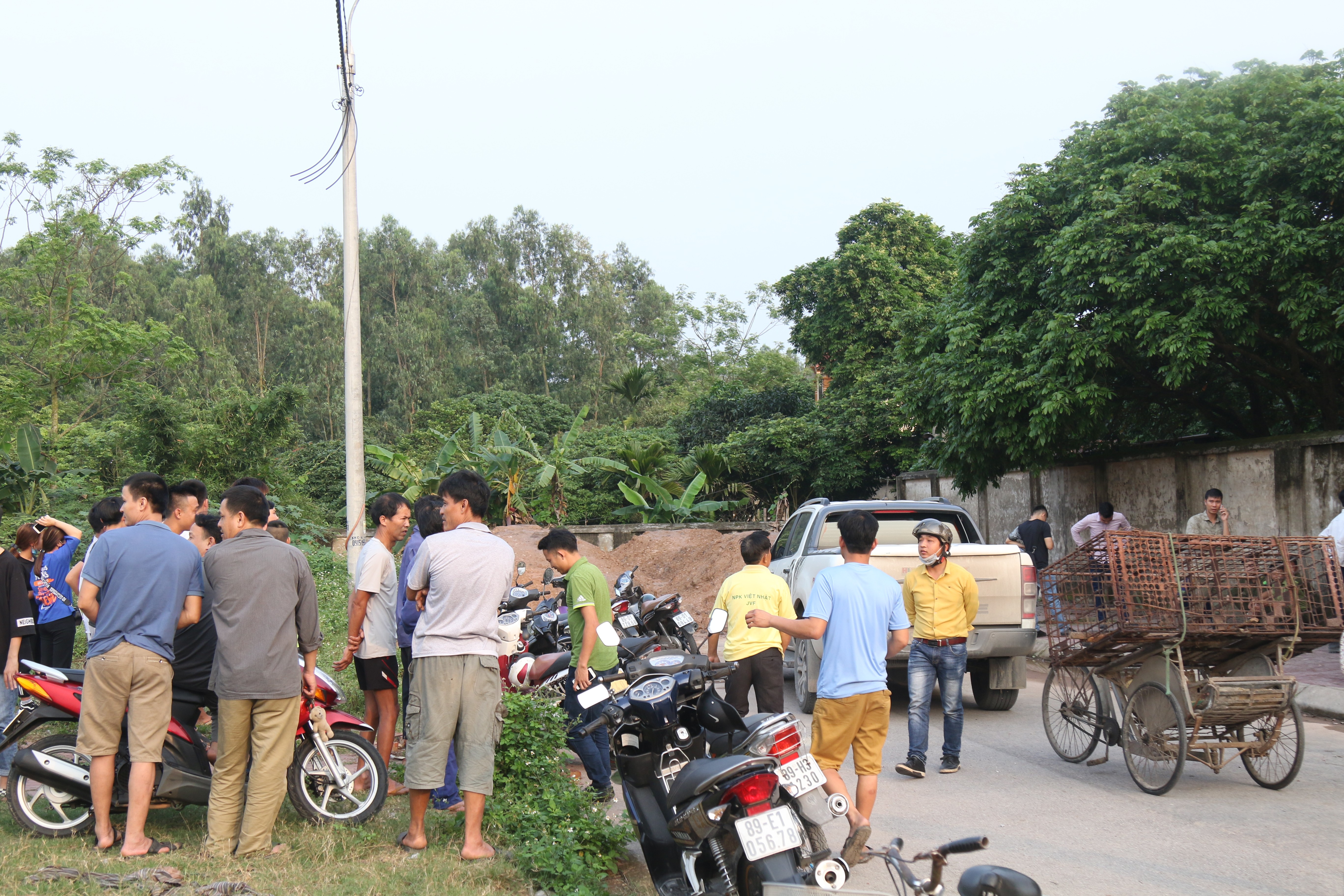 Tin nhanh - Thu giữ đàn chó cắn bé trai tử vong ở Hưng Yên (Hình 4).