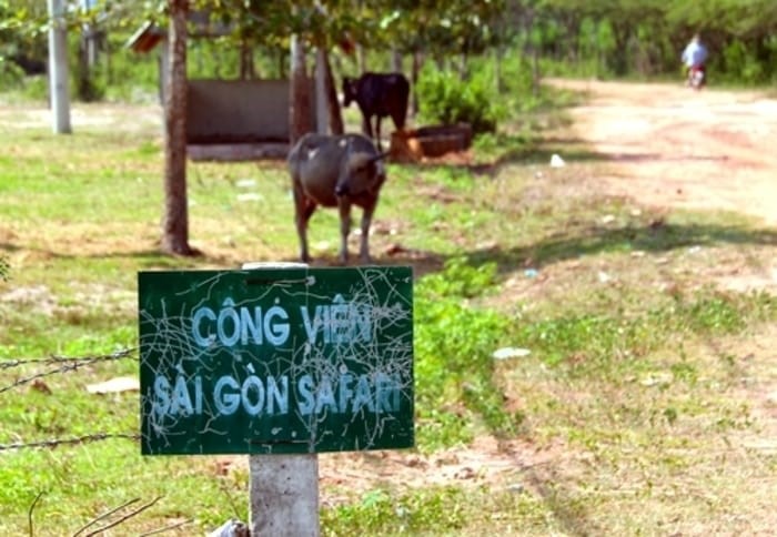 Đầu tư - Thanh tra Chính phủ công bố nhiều sai phạm tại dự án Sài Gòn Safari