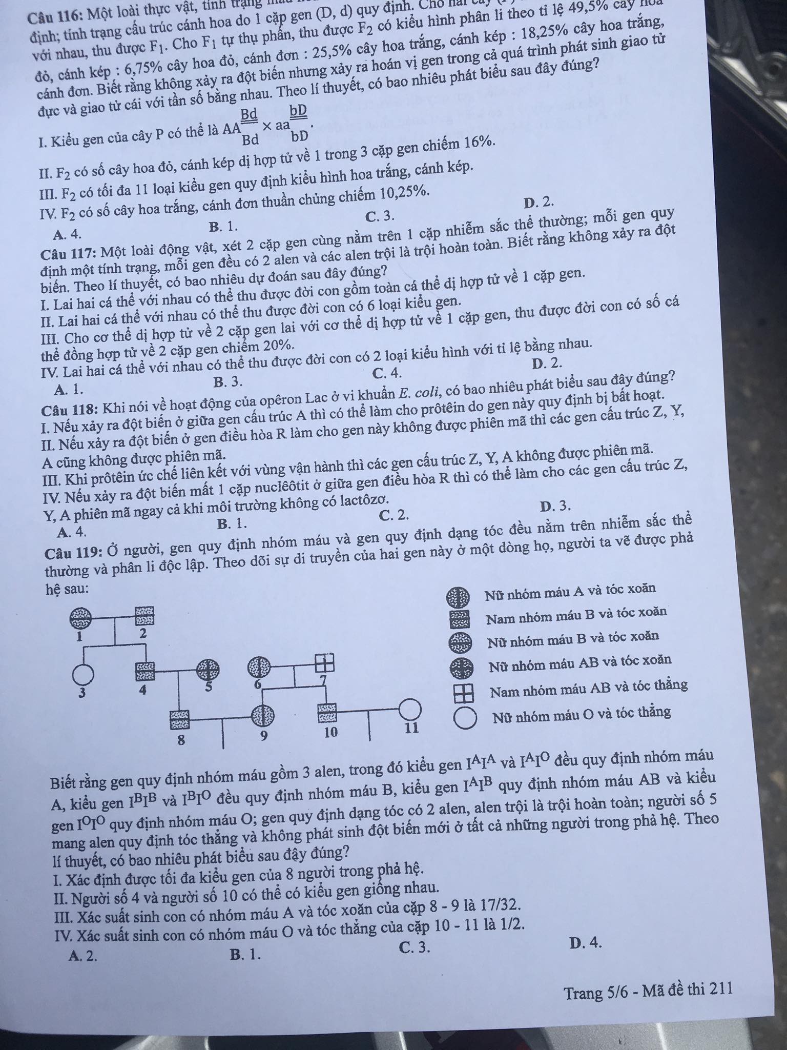 Giáo dục - Đáp án đề thi môn Sinh học mã đề 213 thi THPT Quốc gia 2019 chuẩn nhất (Hình 12).