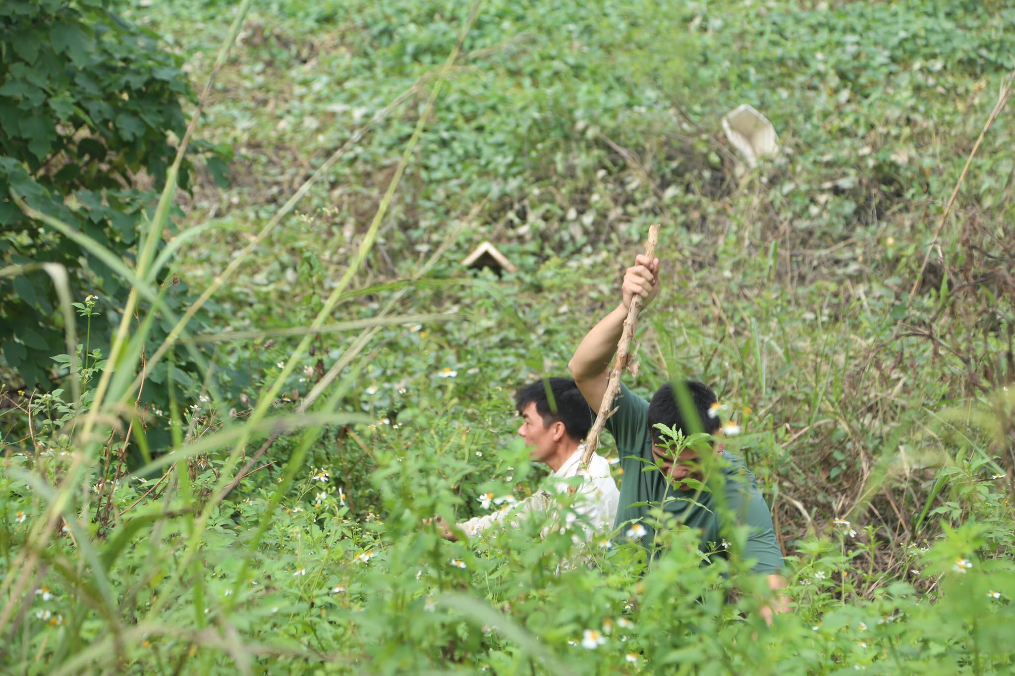 An ninh - Hình sự - Ảnh: Cơ quan công an ráo riết tìm nữ sinh học viện Ngân hàng  (Hình 3).