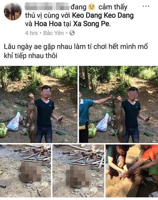 An ninh - H&igrave;nh sự - Khoe &ldquo;chiến t&iacute;ch&rdquo; giết khỉ tr&ecirc;n Facebook, thanh ni&ecirc;n bị c&ocirc;ng an mời l&agrave;m việc