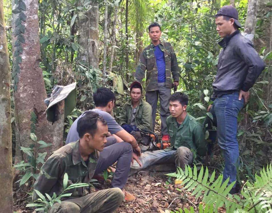 An ninh - Hình sự - Thông tin bất ngờ vụ trưởng  thôn thành... 'lâm tặc', cùng đồng bọn khai thác gỗ lậu (Hình 2).