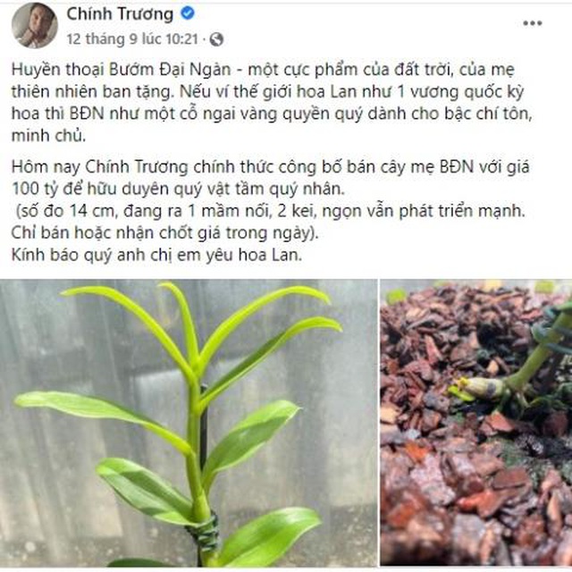 Tiêu dùng & Dư luận - Những cuộc chuyển nhượng lan đột biến hàng trăm tỷ gây sốc dư luận (Hình 2).